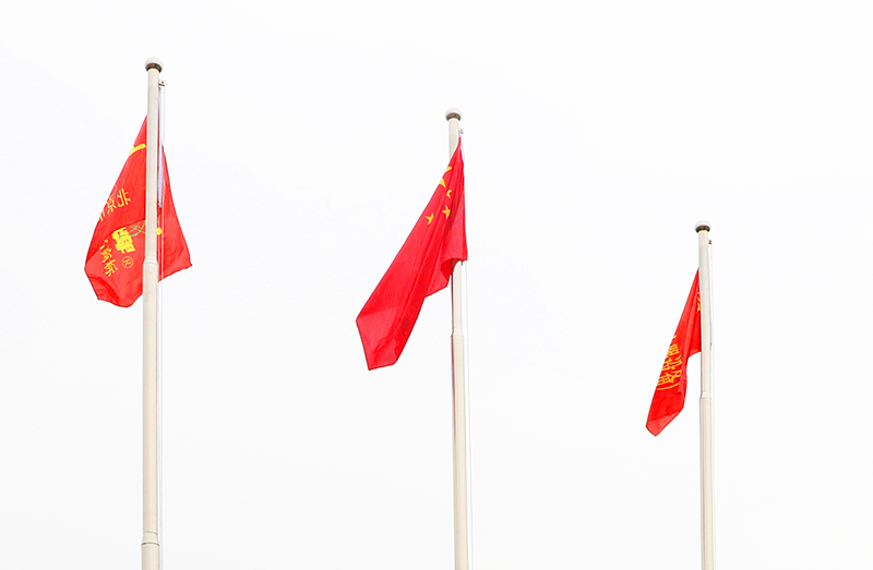 1759981897787825.jpg 07.1.jpg